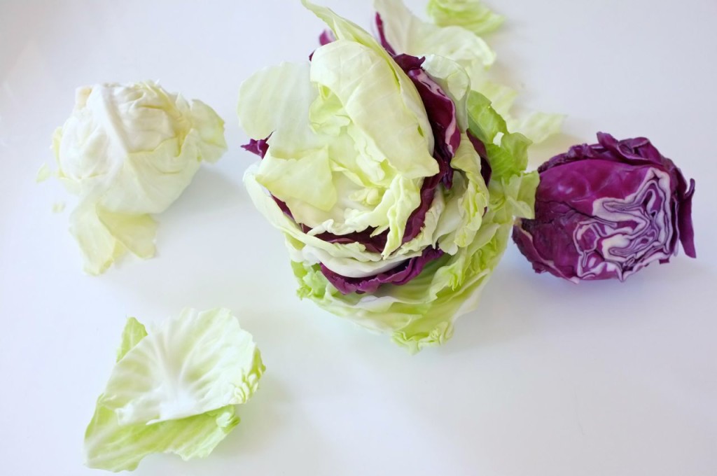 rto cabbage 2